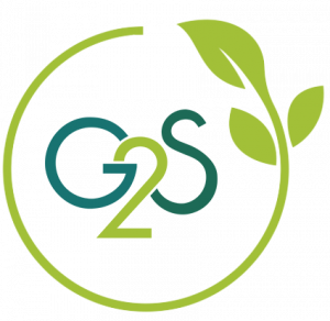 Logo G2S RSE